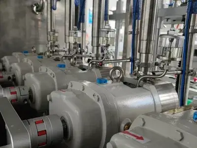 Bomba de lóbulos rotativos