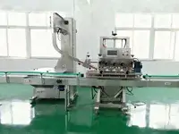 Taponadora automática de husillo